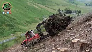 Steep Extraction