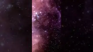 N11 in the Large Magellanic Cloud — Hubble Space Telescope 