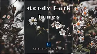 Dark Moody Photo Editing  | Adobe Lightroom Presets |
