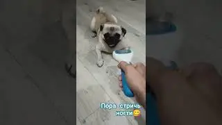 30 июля 2024 г.