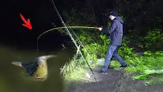 How to Catch Catfish on a Feeder! Targeting Catfish with Feeders: A Feeder Fishing Guide