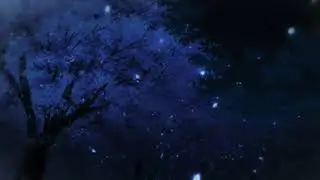 o yaara (slowed + reverbed)