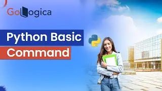 Python Basic Commands Session || Python Certification Training || Python