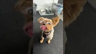 Let me Tell You SOMETHING!!