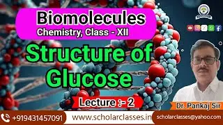 The Surprising Structures of Glucose and Biomolecules