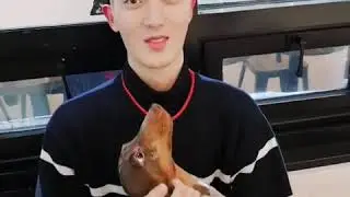 180111 #Ziu #VAV Official IG Update