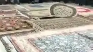 Awesome moments and skills..