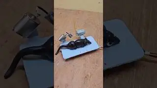 RIP #crd #poor #rat