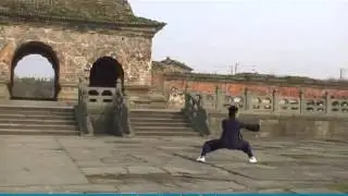 Wudang Longhua Boxing by Master Chen Zhilin