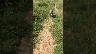 В гору