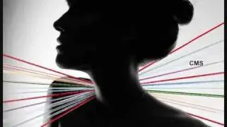 Feist- I Feel It All (Britt From Spoon Remix)