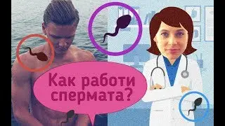 Спермата!