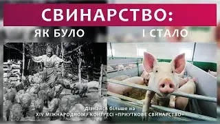 Міжнародний XIV Конгрес «Прибуткове свинарство»