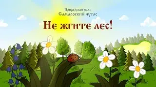 Не жгите лес!
