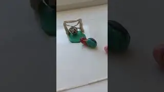 Rip