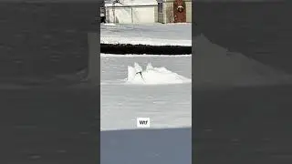 What The Hell Tiktok nikki stanek
