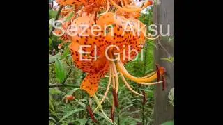 Sezen Aksu - El gibi - http://www.cicekmerkezi.com