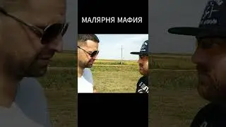малярная мафия #декоративнаяштукатурка #юмор #покраскастен #ремонт #краска