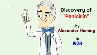 The accidental discovery of the miracle drug penicillin/Discovery of penicillin by Alexander Fleming