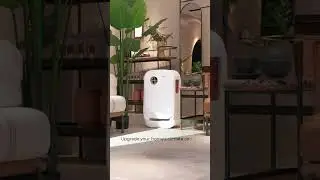 AIRLEO Duo Eco Air System