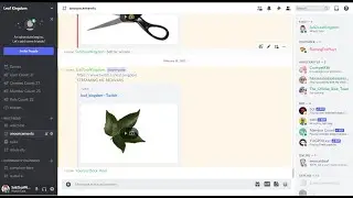I use discord compact light mode with dark sidebar