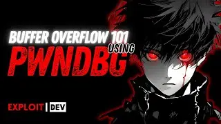 PERFECT Low-Level Debugger for Beginners
