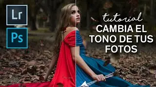 3 herramientas para cambiar el tono de tus fotos