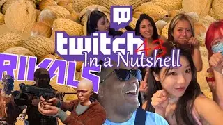 Girl's trip, Twitch Rivals Rust Team Battle and Streamers VS Viewers - Twitch In a Nutshell #43