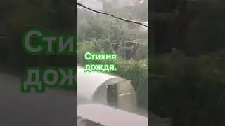 #shorts Стихия дождя! С природой не поспоришь! Танцуем!#music#party #song #дождь #garden