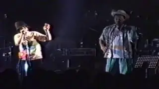 EGO-WRAPPIN'『かつて..。』LIVE
