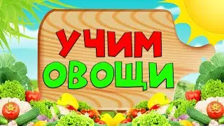 Овощи ДЛЯ ДЕТЕЙ. Учим названия ОВОЩЕЙ и где они РАСТУТ. Развивающее видео для детей.
