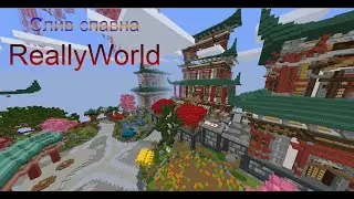 Слив спавна ReallyWorld | 2022 года