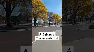A Beleza é transcendente #beleza #psicologia #transcendental