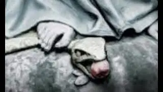 Clearing up Confusion over Who Will  Crush the Serpent in Genesis 3:15