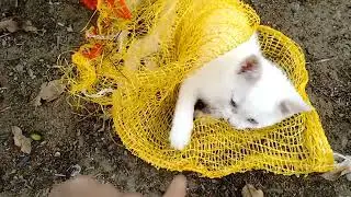 Floquinho e o saco de batata!