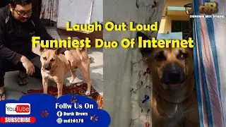 Laugh Out Loud : Funniest Duo Of Internet