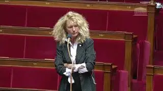 Martine Wonner à l'Assemblée