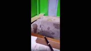Нахальный воришка