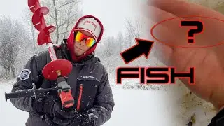 I CAUGHT A FISH WITH MY ICE AUGER - NO JOKE!
