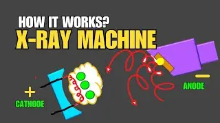 X-ray Physics | X--ray Machine | Cathode and Focusing cup | The Anode