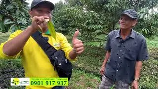 TẠI SAO PHẢI CHẶN ĐỌT KHI LÀM BÔNG NUÔI TRÁI? KALI CÓ CHỨC NĂNG GÌ?