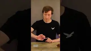 Игры с карандашом для развития детей и взрослых #3