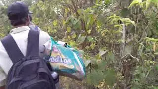 group camping in uttrakhand forest #21