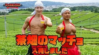 茶畑のマッチョ！＠マッチョフリー素材「マッスルプラス」