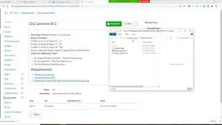 Visual Basic programming , how to extra zipped file and  to open an existing visual studio project