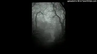 Jan Staller-Belly Vibration (Sascha Lobeck Remix)