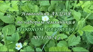 Новогодняя Акция земляники 23 24 Ягодное раздолье
