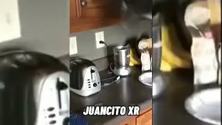 😂 VIDEOS DE RISA 2023 😂😂 LOS MEJORES VIDEOS 🤪 #videos #animales
