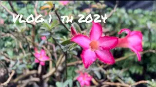 Vlog 1 th 2024