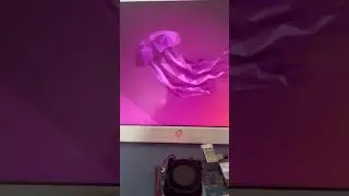 14inch display for orange pi 5 plus